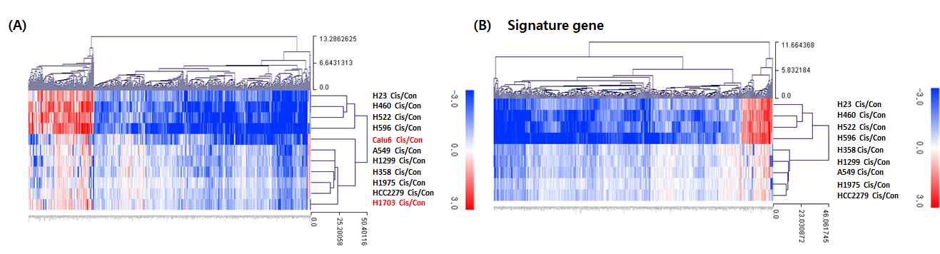 Hierarchical clustering heatmap of differentially expressed genes between resistant and sensitive cell line