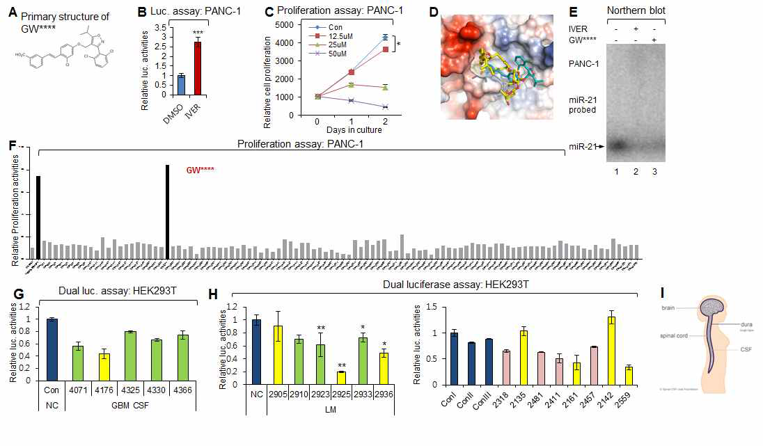 종양마이크로RNA 의존적 암화미세환경을 효과적으로 모니터링하는 다기능 발광시스템의 적용. DDX23-종양마이크로RNA-21 신호전달을 기반으로한 GW***의 발굴. 종양마이크로RNA 의존적 -21 센세를 췌장암 세포주인 PANC-1에 적용 기존 효과 검증된 repositioning 약물인 ivermectin에 비교하여 #22 약물인 GW****의 효과를 검증함. 악성뇌종양 및 연수막암종증환자 유래 뇌척수액을 처리한 종양마이크로RNA-21 sensing 플랫폼에서 작용효능 검증. Dual luciferase assay를 이용한 세포외소포체에 존재하는 종양마이크로RNA-21에 의한 firefly luciferase의 번역감소효과 검증