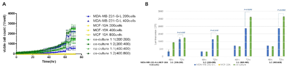 (A) 유방 상피 세포주 (MCF-10A)와 유방암 세포주 (MDA-MB-231-G-L)의 GFP의 시간에 따른 (24hr, 48hr, 72hr) 측정 결과. (B) 동시 배양한 유방암 세포주의 luciferase를 확인한 결과 (48hr, 72hr)
