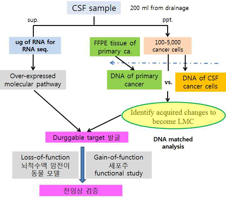 대량배액 (>200 ml) 뇌척수액 샘플을 이용한 RNA seq 및 DNA matched analysis 개념도