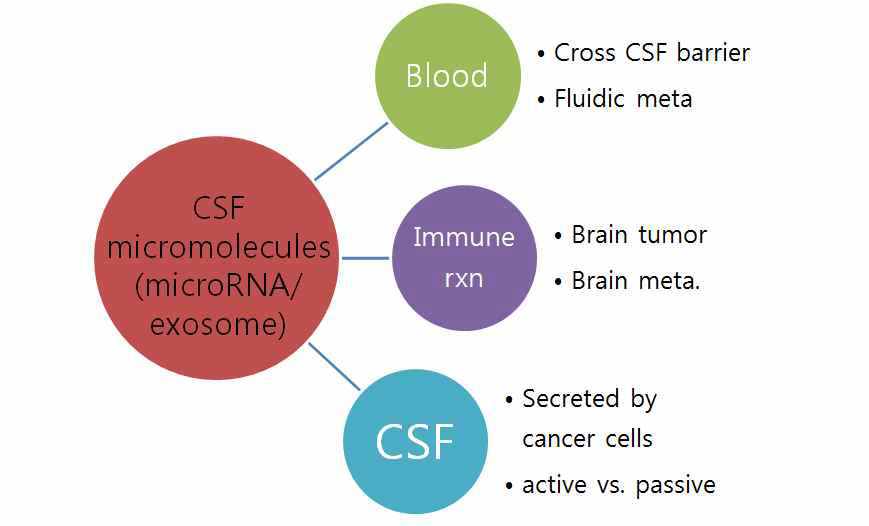 뇌척수액 내 micromolecules의 source