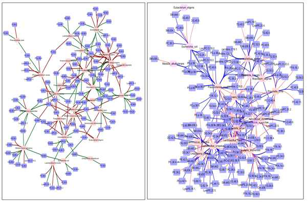두 그룹에서의 네트워크 분석