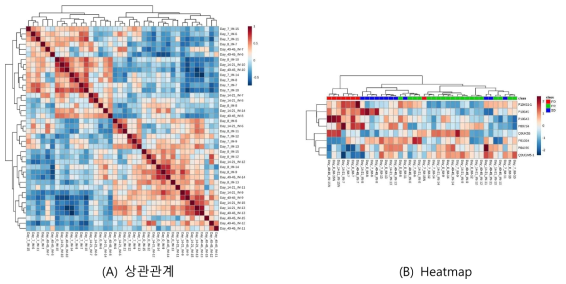 훈련 집합 시료 인산화 단백질의 상관관계와 heatmap