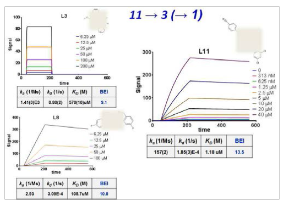 11개 화합물의 SPR 실험 중 3개 hit에 대한 결과