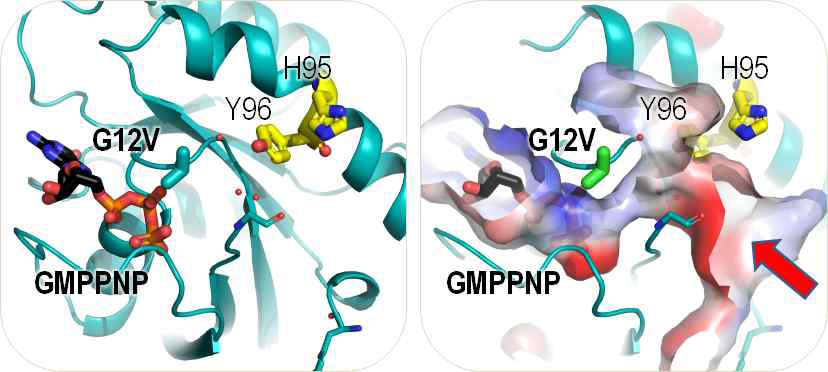 KRAS-G12V-GMPPNP 구조
