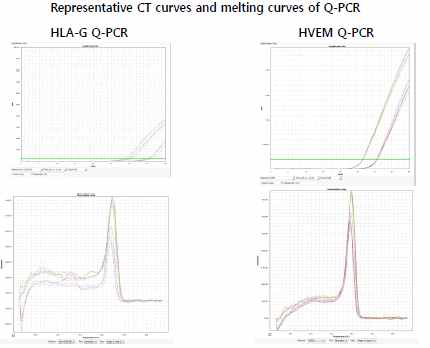 HLA-C와 HVEM의 Q-PCR 결과. 위쪽은 CT curves, 아래쪽은 melting curves