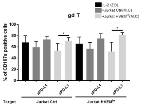 PD-1/PD-L1과 BTLA/HVEM 경로의 억제가 IL-2와 zoledronate에 의해 증식 된 γδ T 세포의 CD107a의 발현에 미치는 영향. PD-1/PD-L1 경로의 억제가 γδ T 세포의 CD107a의 발현을 증가시킴. 하지만 백혈병 세포주에서 감소된 HVEM의 발현 수준이 이에 추가적인 역할은 하지 않음