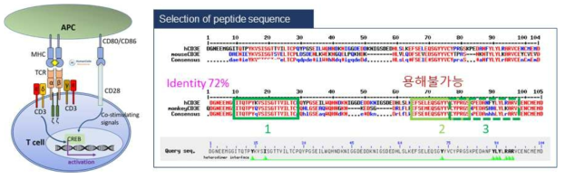 Sequence analysis for CD3E species