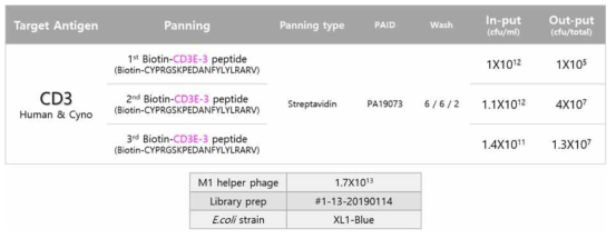 Peptide based bio-panning of phage display library (PA19073)