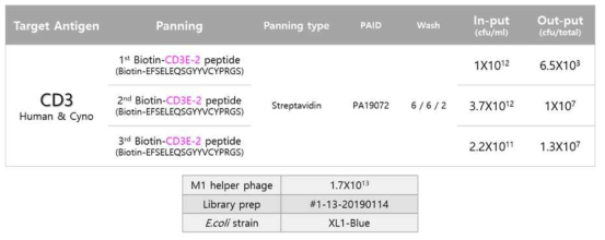 Peptide based bio-panning of phage display library (PA19072)