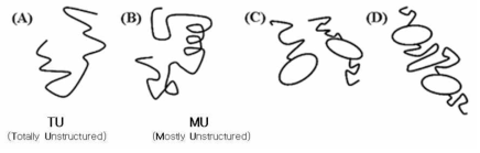 Different types of intrinsically unstructured protein (IUP). (A) Totally unstructured (B) Mostly unstructured protein (C) Unstructured domain (D) Unstructured loop