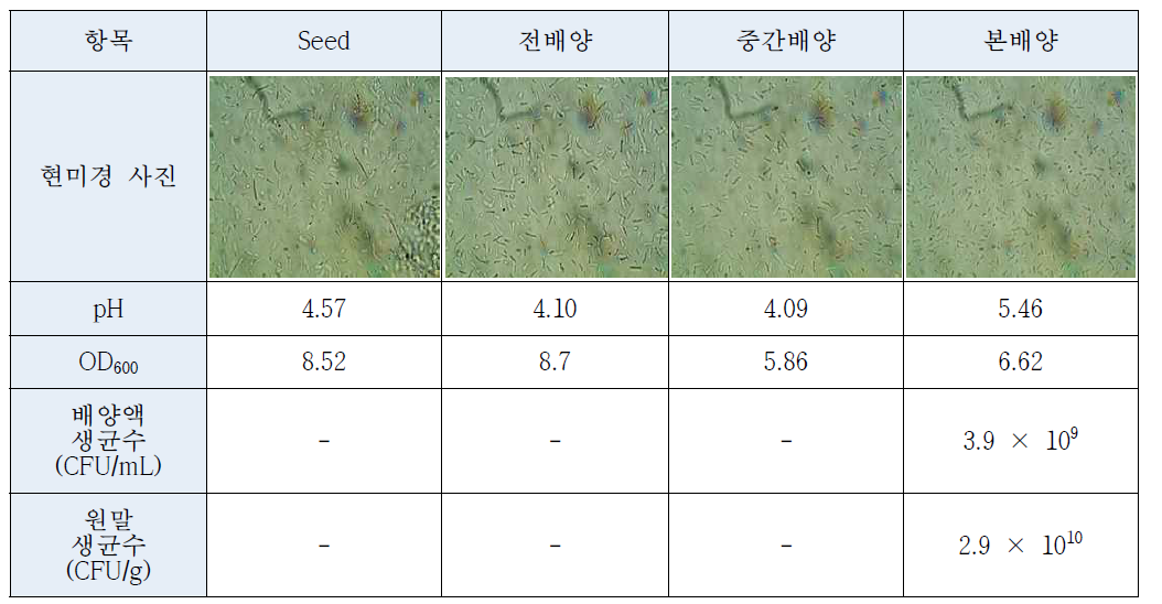 24시간 단계별 배양 생균수 결과