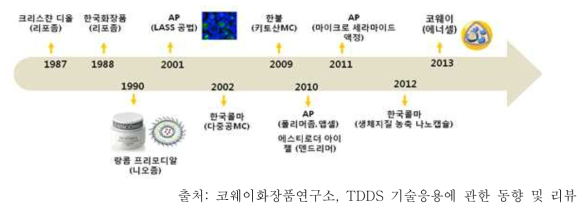 화장품에서의 약물전달 기술 적용 현황