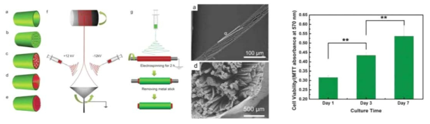 electrospun을 이용한 PLLA 다공성 실 제작 및 신경도관제작방법 (좌) 과 in-vitro test (우)