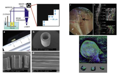 laser-based microstereolithography를 이용한 PEG 신경도관 (좌) 및 제작된 신경도관을 이용한 in-vitro, in-vivo test및 결과 (우)