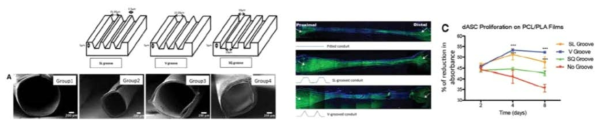 패턴이 다른 신경도관과 (좌) in-vivo, in-vitro test 결과 (우)