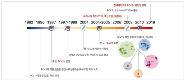 PCV2 바이러스의 출현 경과