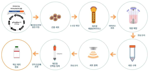 돼지 써코바이러스 백신의 제작 과정