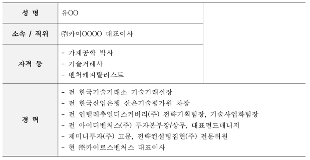 외부 투자유치 전문가 이력