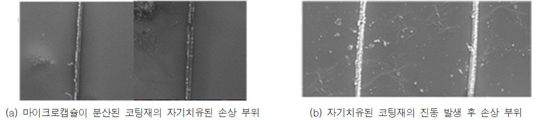 자기치유 코팅재의 손상 부위에 대한 SEM 사진