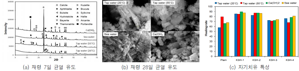 환경 조건에 따른 자기치유 특성 분석