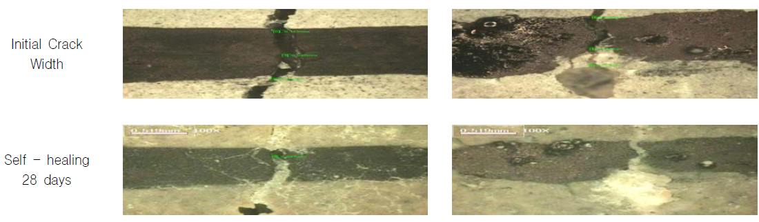복합 소재 활용 자기치유 배합을 활용한 균열 자기치유성능 평가
