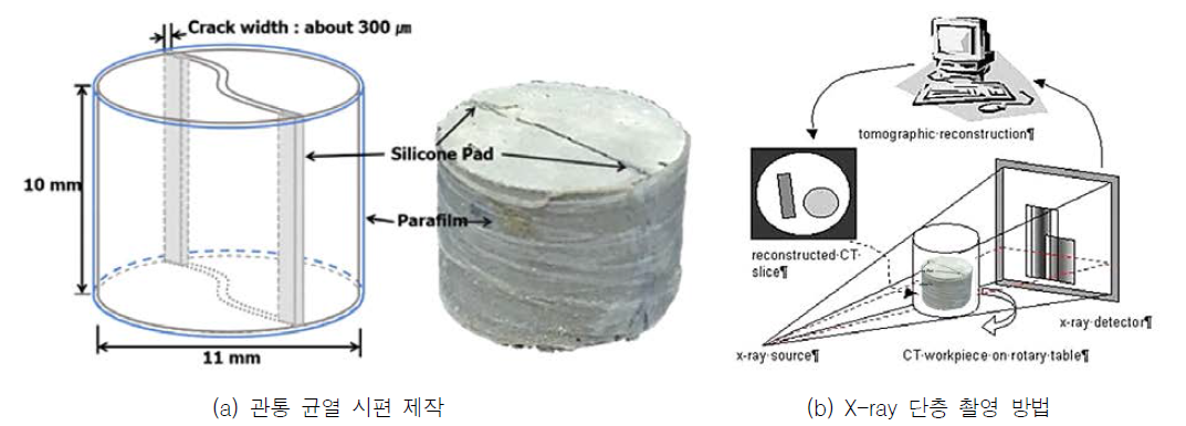 X-ray CT 이미지 분석 실험 개요