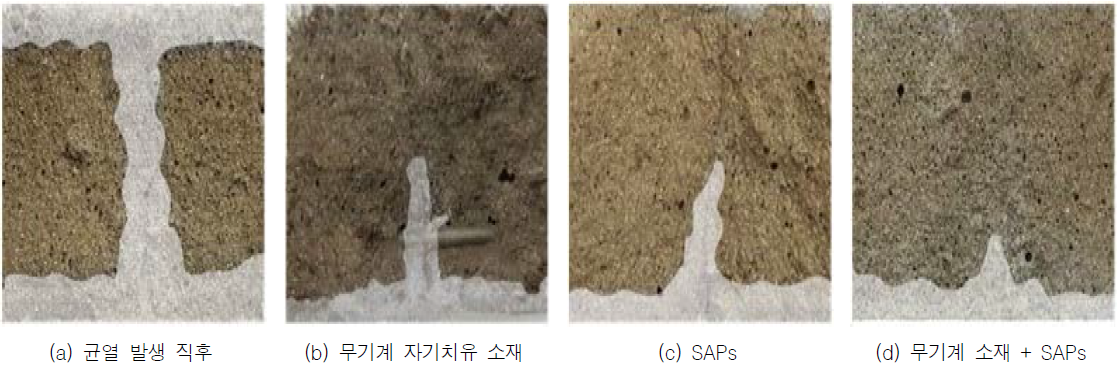 SAPs와 무기계 자기치유 소재의 혼입에 따른 염소이온 침투 저항성 평가