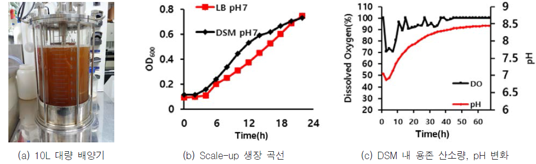 10L 배양기 내 혼합 균주 생장 곡선 및 산소 포화도, pH 변화 확인