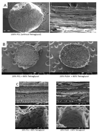 A. PCL 100% 소재의 내부 미세구조의 SEM 사진, B. PCL 20%(좌측) 및 PLGA 20% (우측)에 Tetraglycol 80%를 혼합한 소재의 내부 미세구조 SEM 사진, C. 미세구조의 sagittal 및 cross section의 고배율 SEM 사진