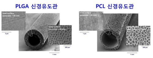 본 연구팀에서 제조한 PLGA 및 PCL 신경도관의 전자현미경 사진