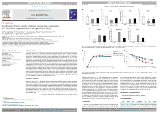 추가 연구를 통해서 밝혀진 불완전 척수손상모델에서의 탈세포화 조직의 기능성과 치료 효과