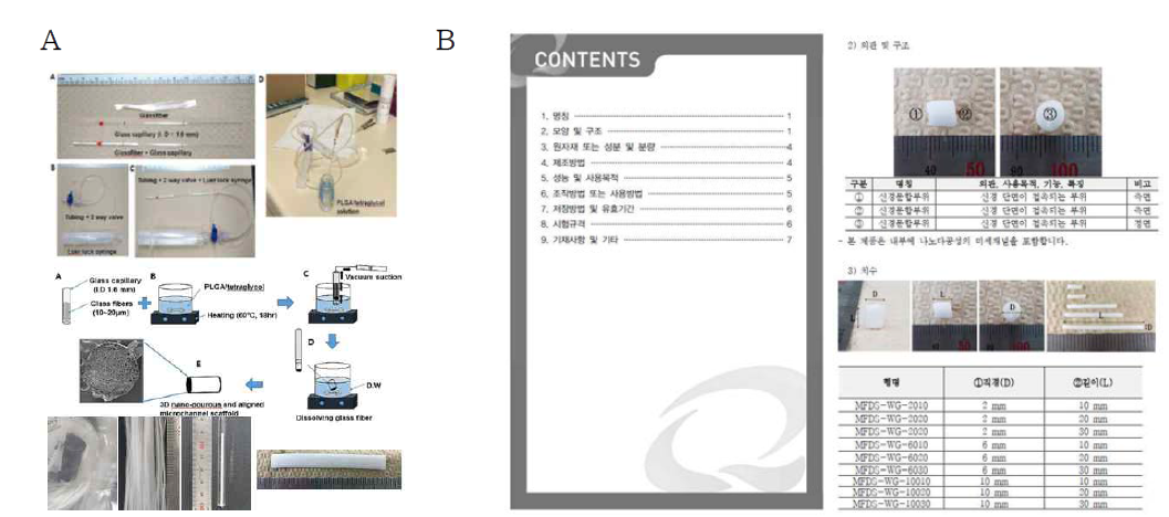 신경도관 공정 프로토콜 작성(A) 및 GMP 인증을 위한 기술문서(B)