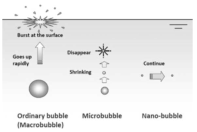 미세버블펌프 특성