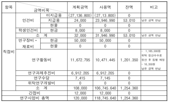 연구비 집행실적