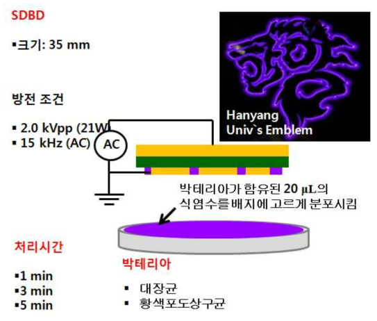 대장균과 황색포도상구균의 살균효과 TEST 실험 조건