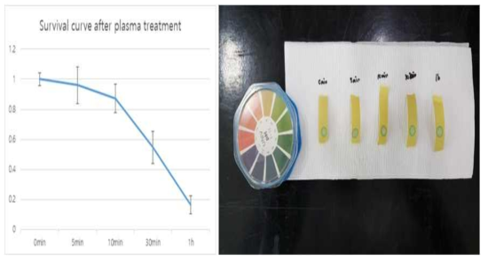(좌) 플라즈마 처리 시간에 따라 처리된 식염수에서 배양된 대장균의 생존 곡선 (우) 플라즈마 처리 시간에 따른 식염수의 pH변화