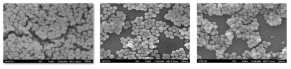 개질 전 실리카 나노입자(좌), APTES 개질 후 (중앙) 와 BiBB 개질 후의 실리카 나노입자 (우)