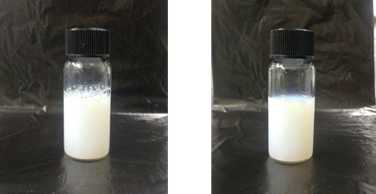 Bottom 코팅제의 제조 직후 (좌) 와 30 일 지난 뒤 (우) 의 분산 상태