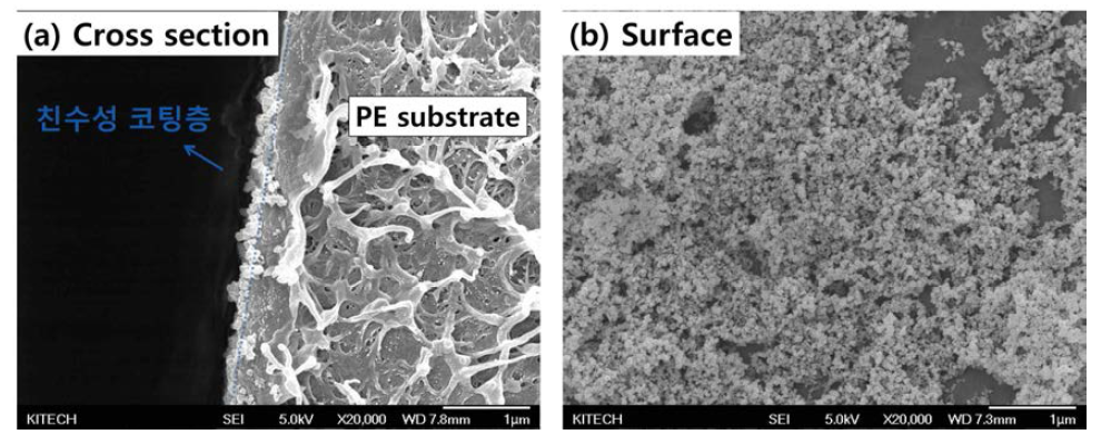 FE-SEM으로 측정한 친수성 코팅 모습 (a)단면, (b) 표면