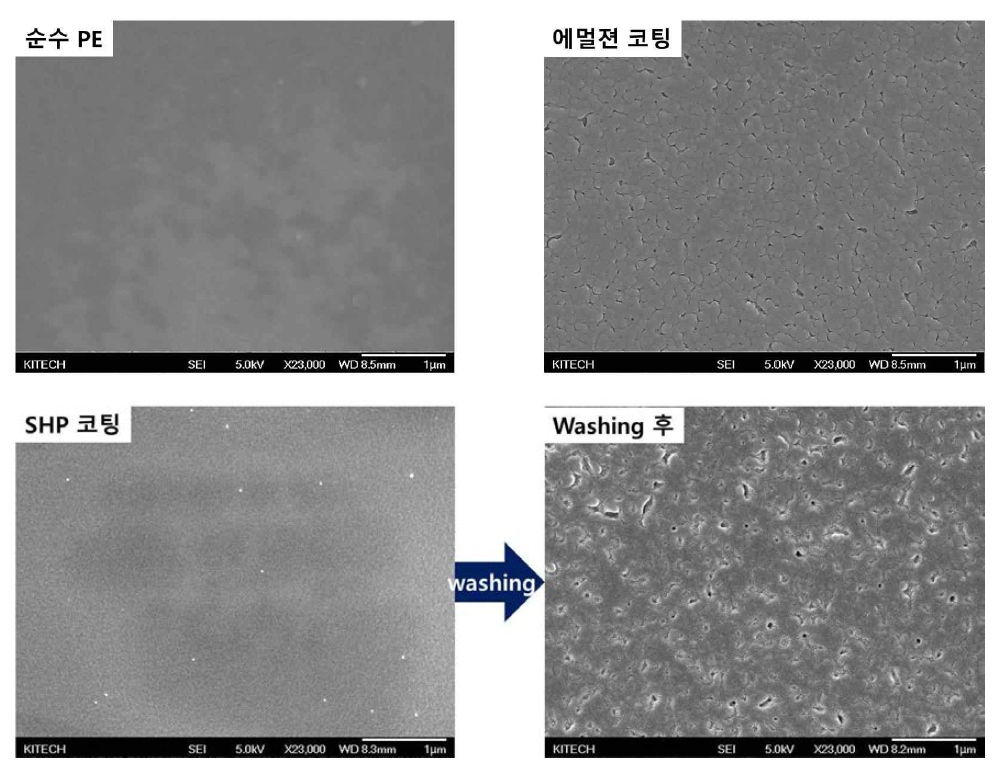 FE-SEM으로 관찰한 코팅 전 후의 필름 표면 형상 관찰 사진