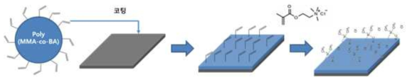 C=C 결합 acrylate 코팅 소재 기반 zwitterion 광중합 공정