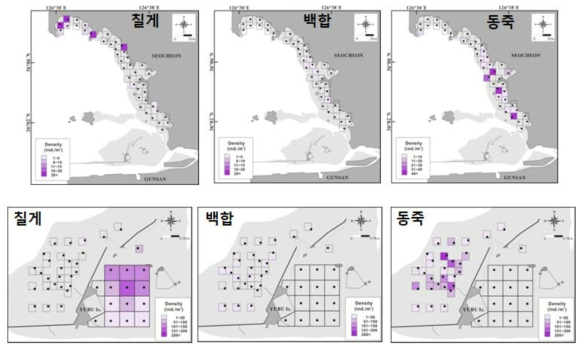 서천갯벌과 유부도갯벌 유용저서동물 서식밀도 공간분포