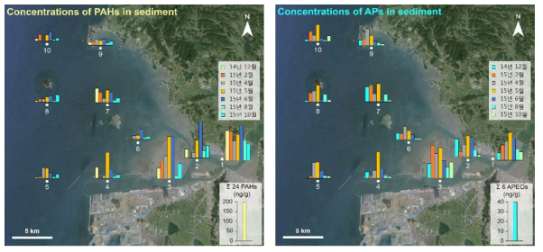 퇴적물 내 유기오염물질 (PAHs 및 APs) 농도