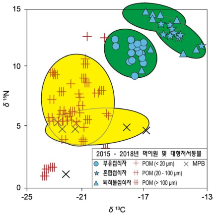 2015 - 2018년 먹이원 및 대형저서동물의 탄소 및 질소 안정동위원소비