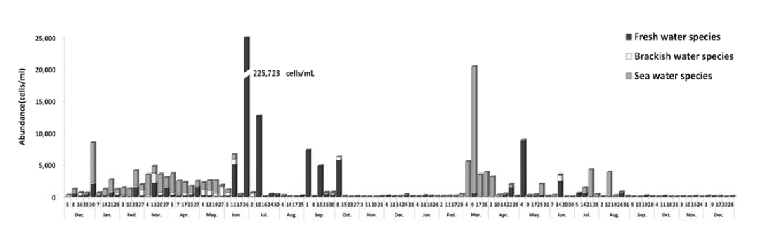 주별 모니터링 염분환경 종별 식물플랑크톤 출현량 시계열 변동