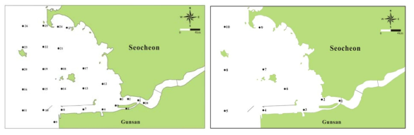 금강하구역 대형저서동물 채집 정점도(좌:1차년도, 우:2-5차년도)