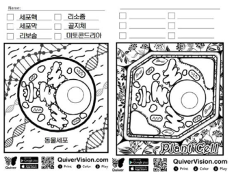 Quiver 앱을 활용한 수업을 위한 활동지