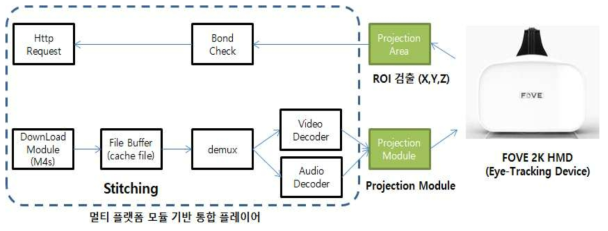 FOVE HMD ROI검출 및 Projection Module