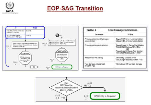 BWR의 EOP-SAMG 전환 논리